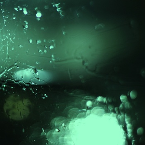 特级黄色一级片
